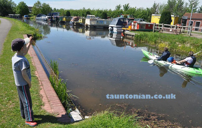 canoe kayak taunton